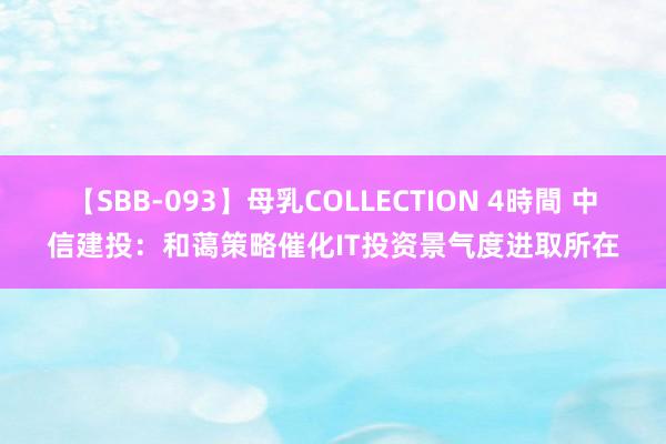 【SBB-093】母乳COLLECTION 4時間 中信建投：和蔼策略催化IT投资景气度进取所在