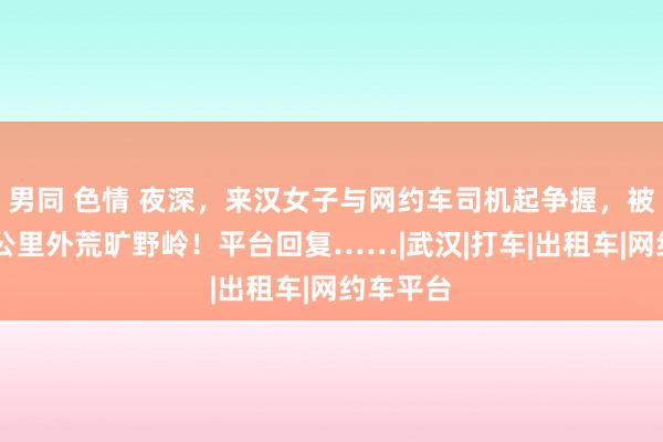 男同 色情 夜深，来汉女子与网约车司机起争握，被送至40公里外荒旷野岭！平台回复……|武汉|打车|出租车|网约车平台